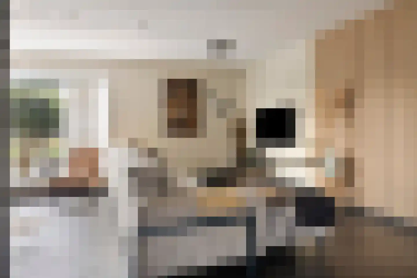 Stanleystraat 25 Hulst thumbnail 11