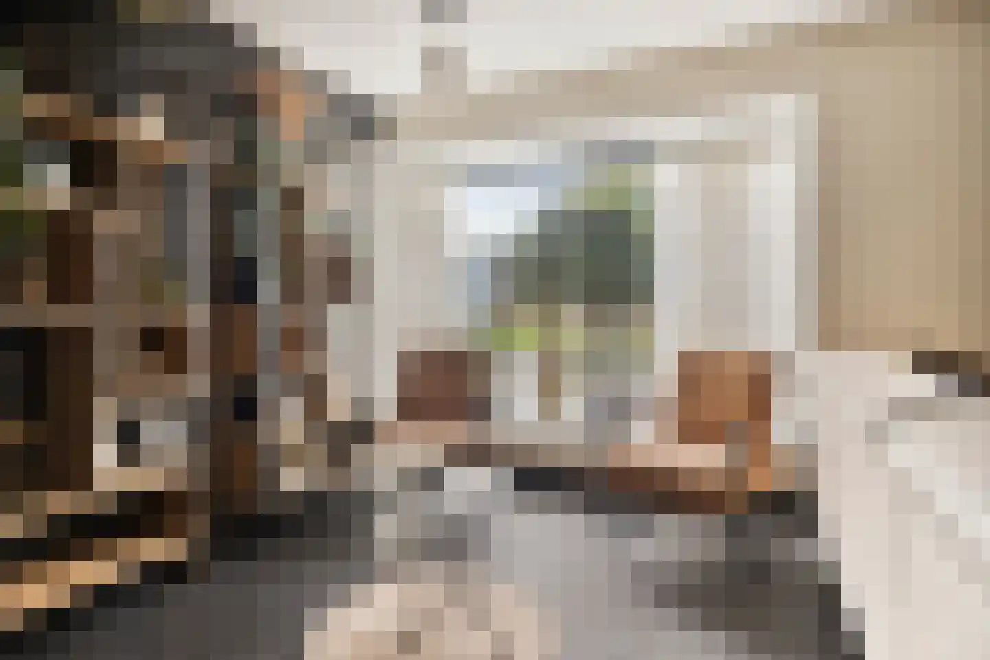 Stanleystraat 25 Hulst thumbnail 12