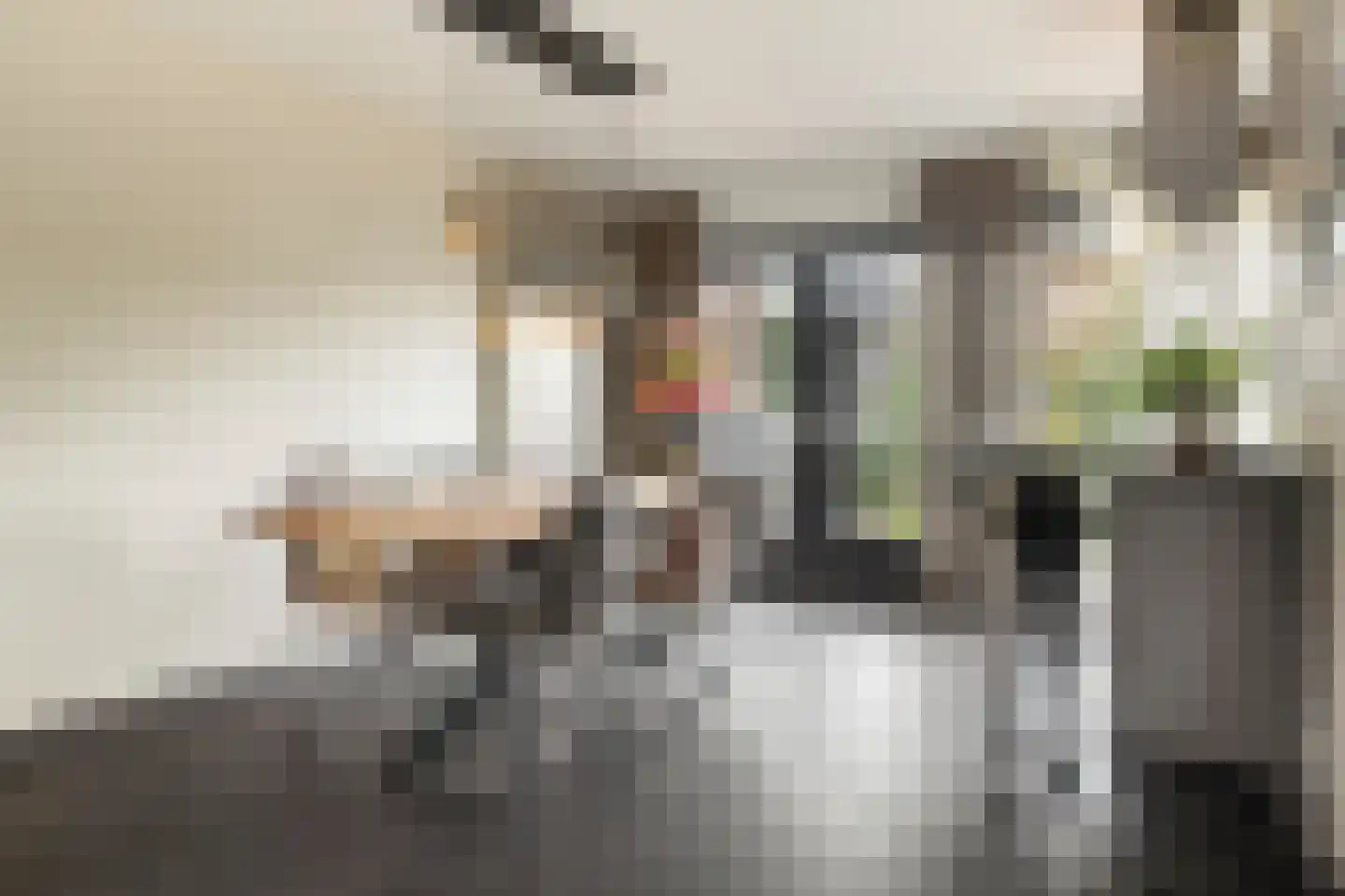 Stanleystraat 25 Hulst thumbnail 17