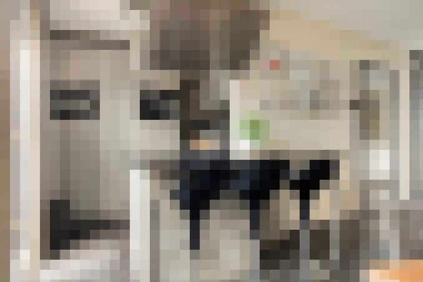 Stanleystraat 25 Hulst thumbnail 18