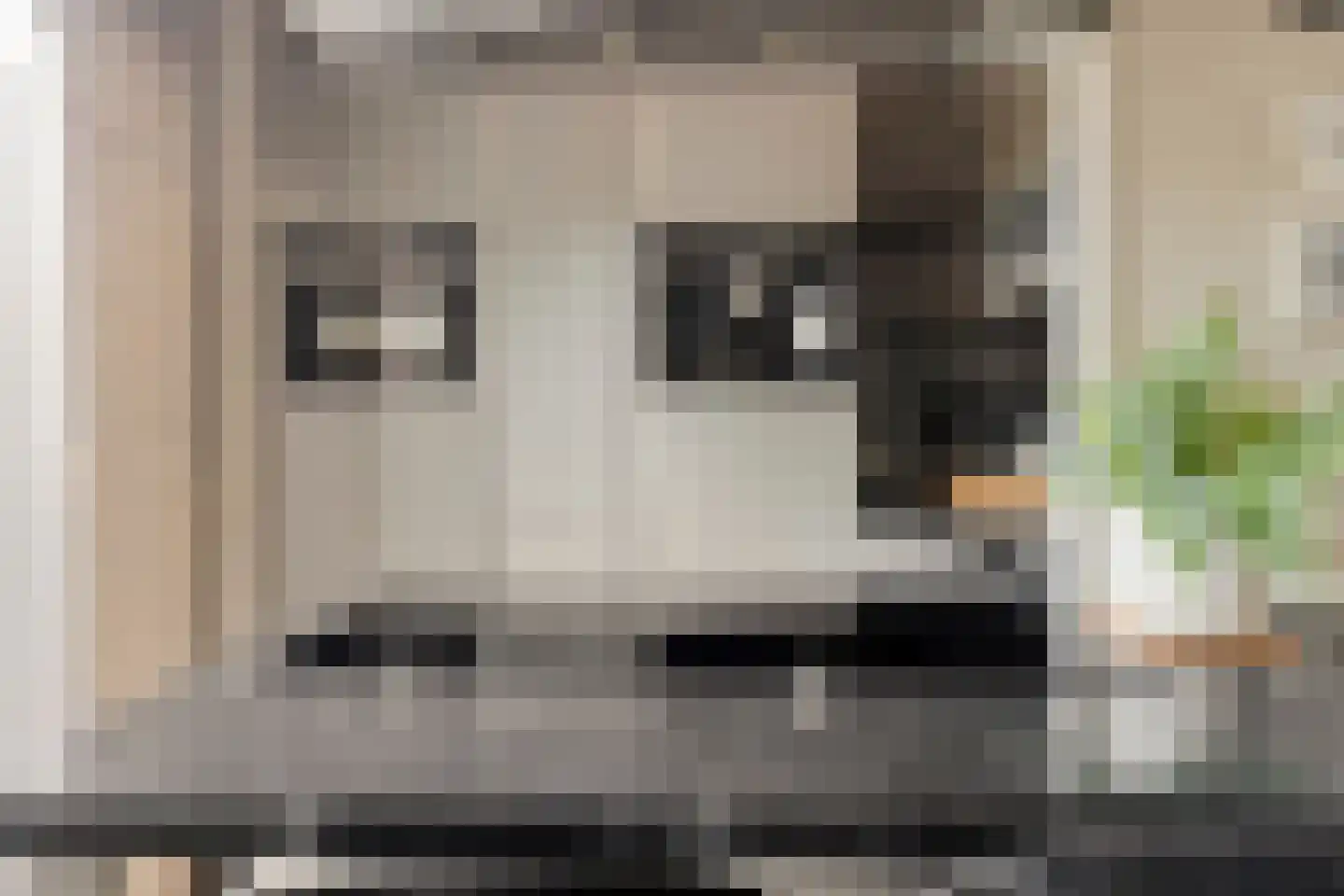 Stanleystraat 25 Hulst thumbnail 19