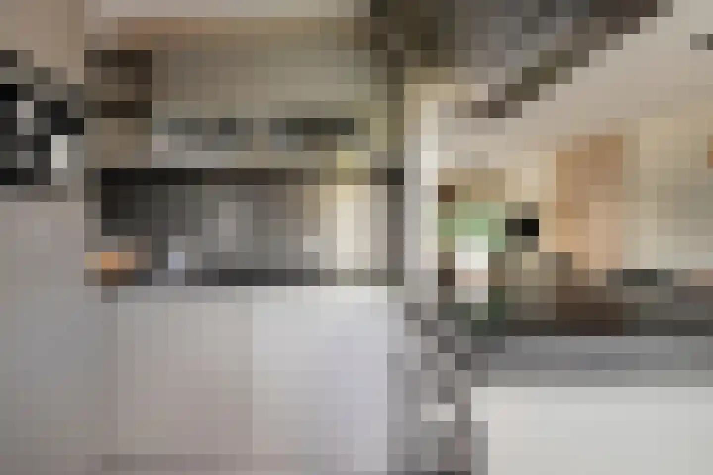 Stanleystraat 25 Hulst thumbnail 20
