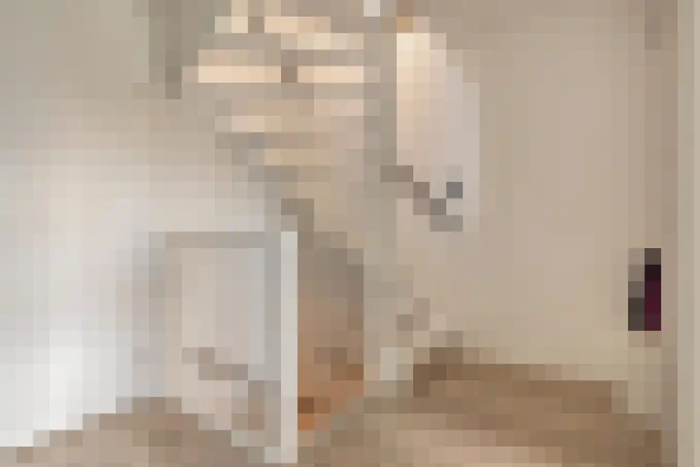 Stanleystraat 25 Hulst thumbnail 22