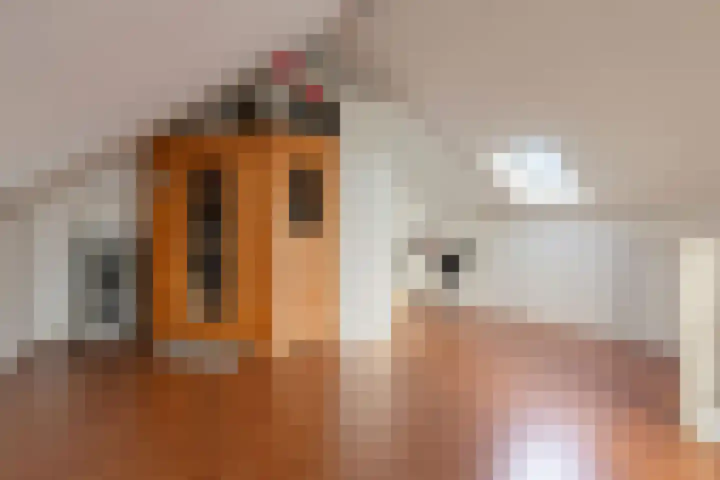 Stanleystraat 25 Hulst thumbnail 31