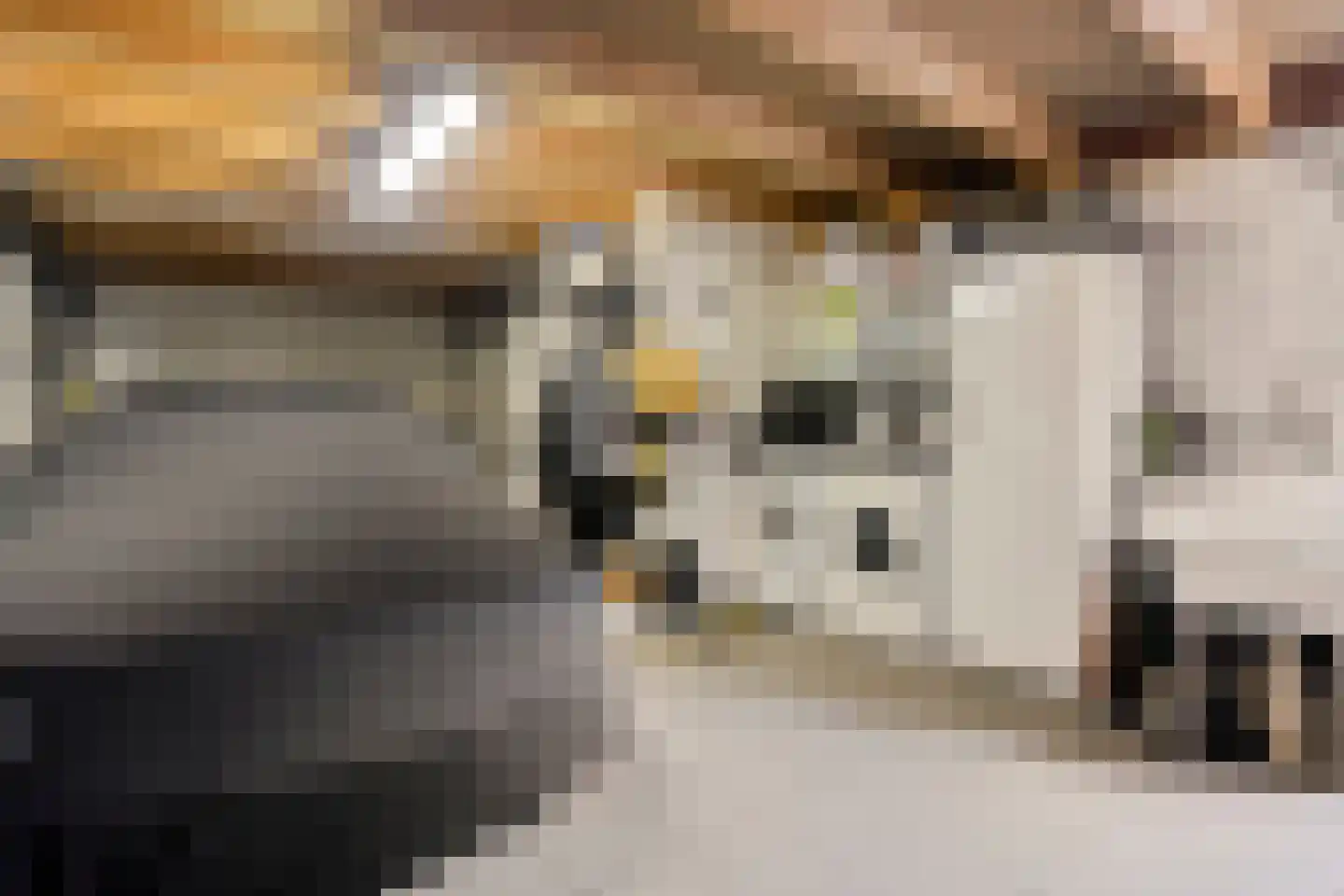 Stanleystraat 25 Hulst thumbnail 33