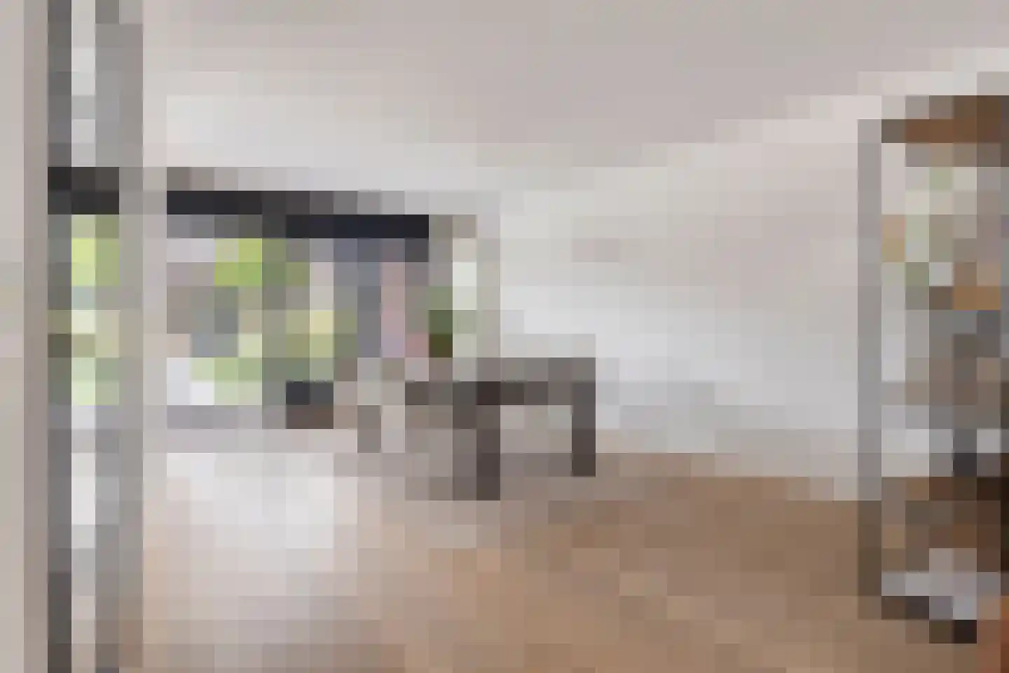 Stanleystraat 27 Hulst thumbnail 13