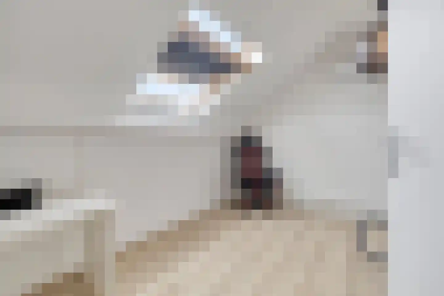 Stanleystraat 27 Hulst thumbnail 25