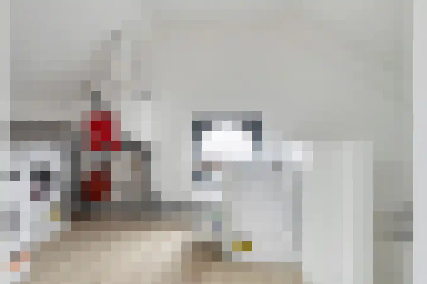 Stanleystraat 27 Hulst thumbnail 26
