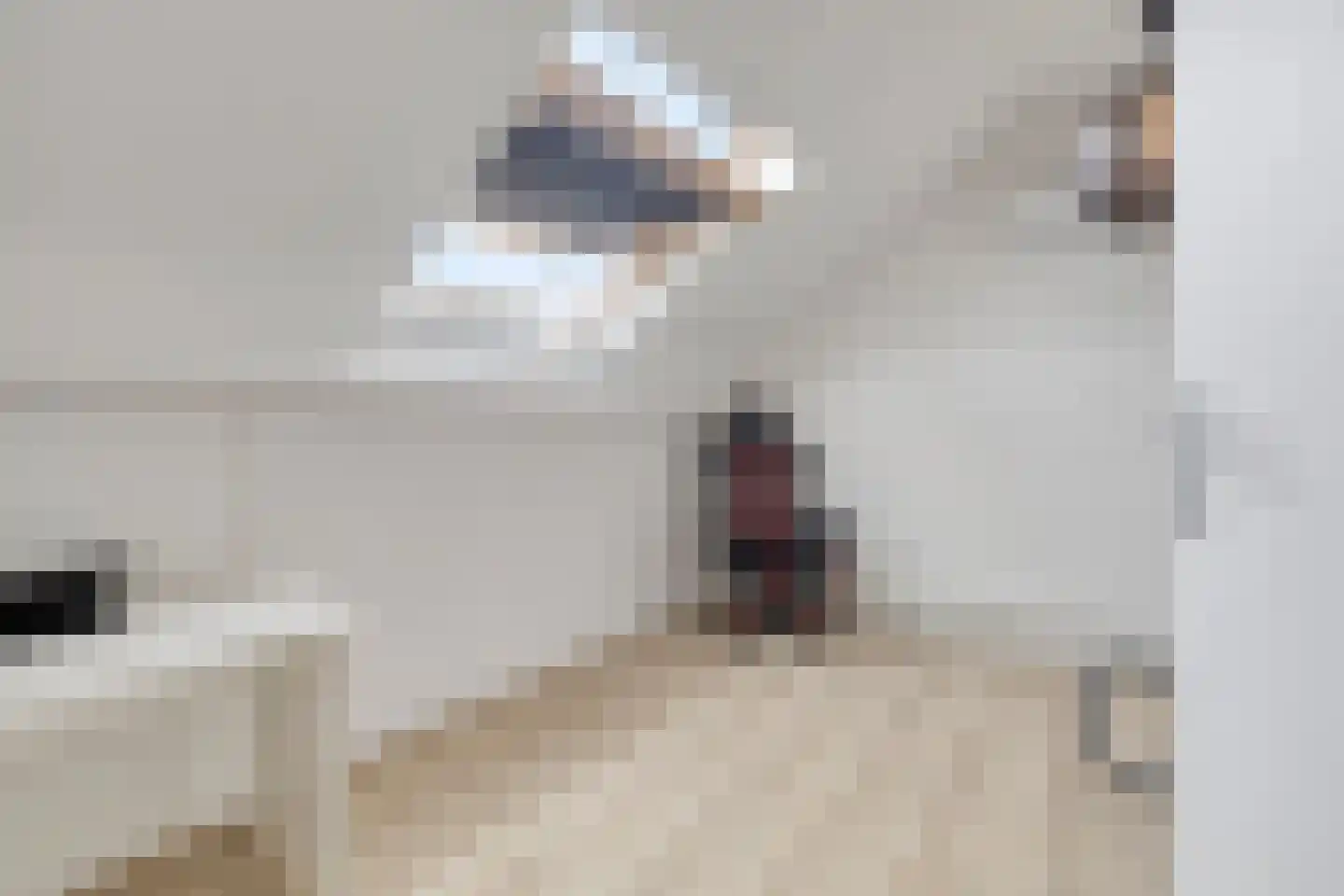 Stanleystraat 27 Hulst thumbnail 28