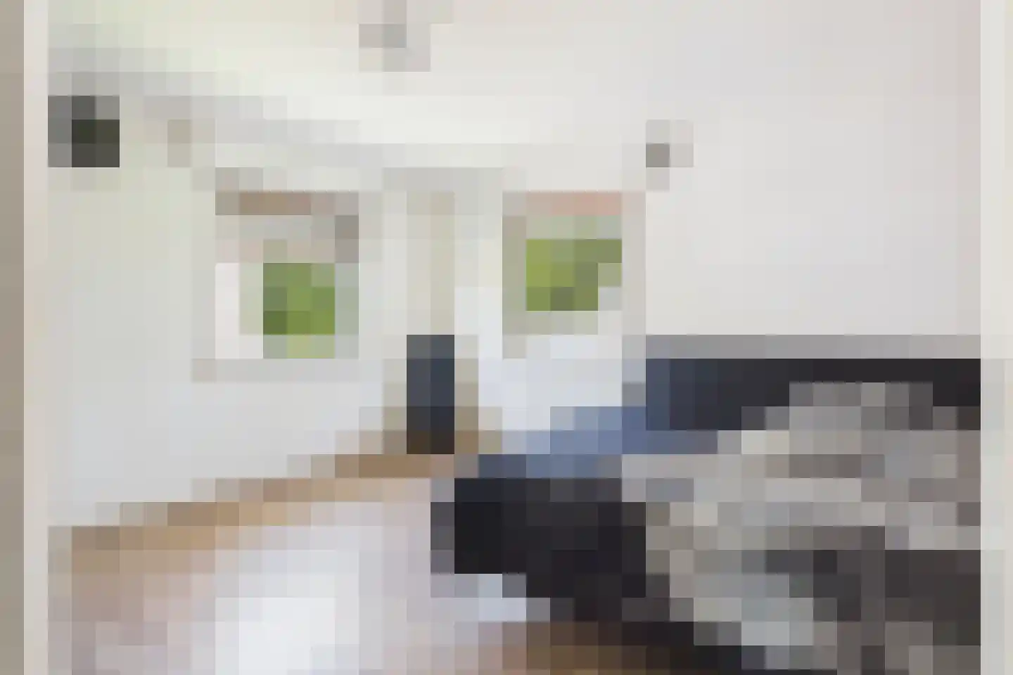 Stanleystraat 3 Hulst thumbnail 18
