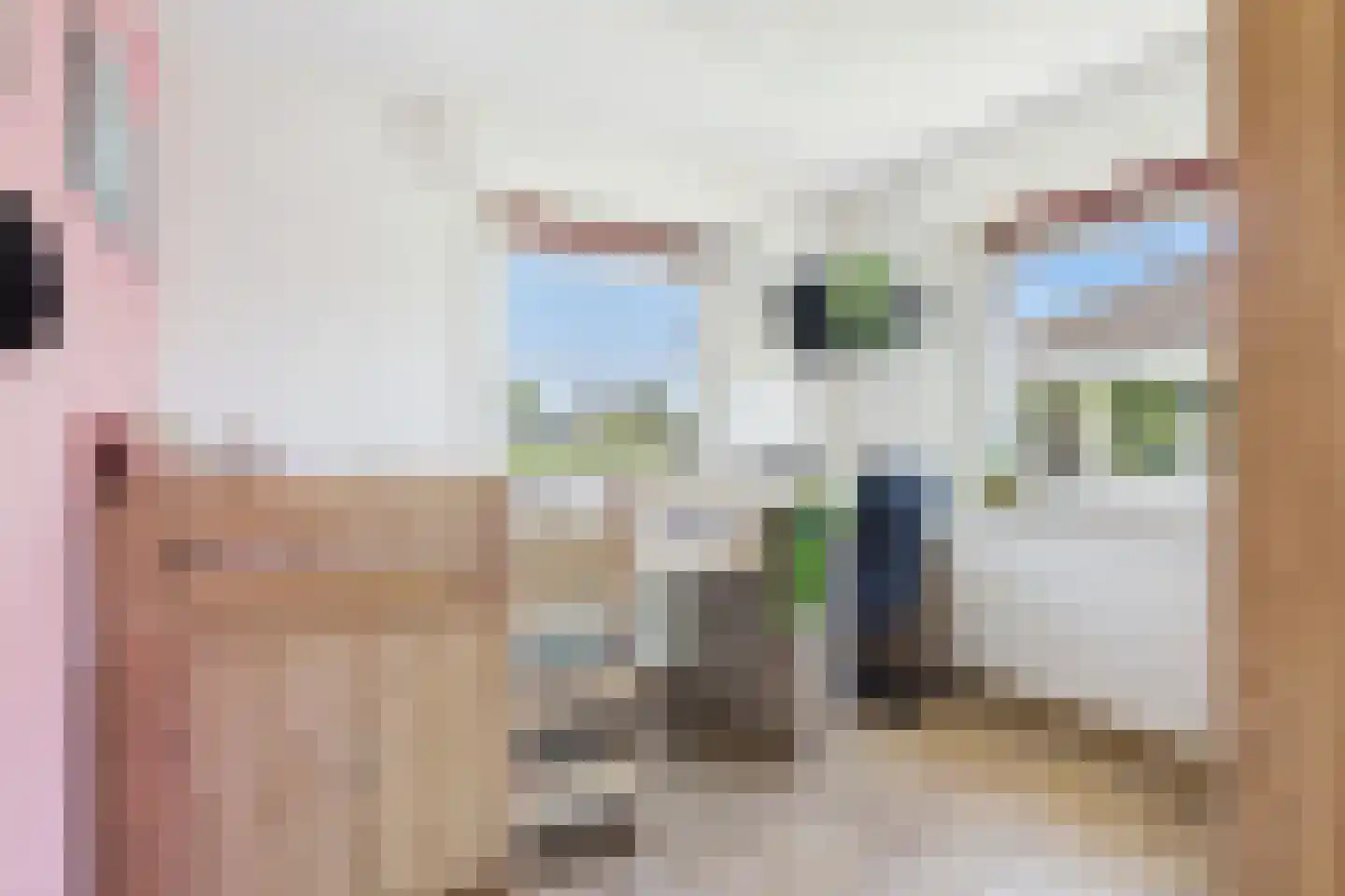 Stanleystraat 3 Hulst thumbnail 23