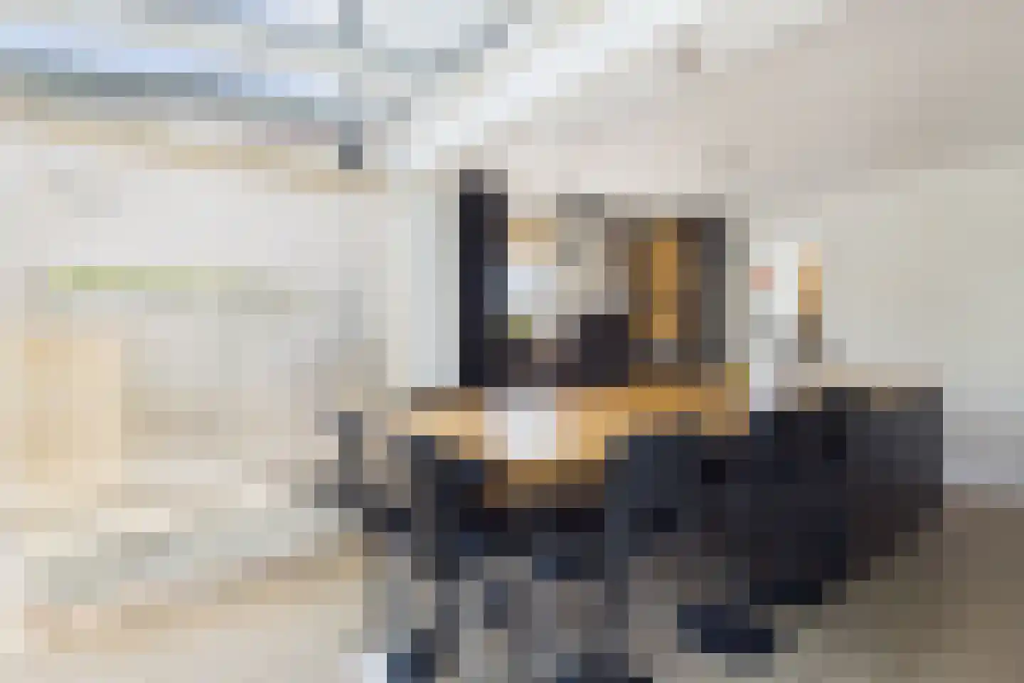 Stanleystraat 3 Hulst thumbnail 9