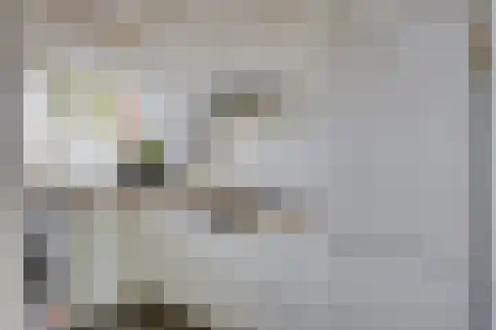 Stanleystraat 3 's-Hertogenbosch thumbnail 10
