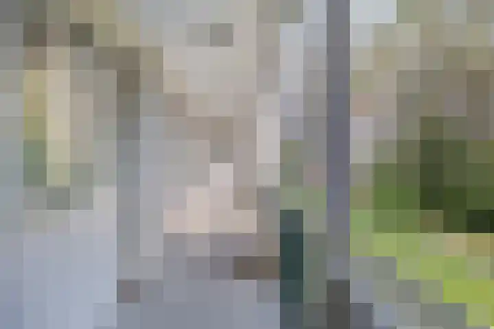 Stanleystraat 3 's-Hertogenbosch thumbnail 15