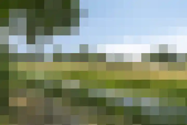 Stanleystraat 3 's-Hertogenbosch thumbnail 18