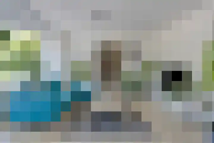 Stanleystraat 3 's-Hertogenbosch thumbnail 7