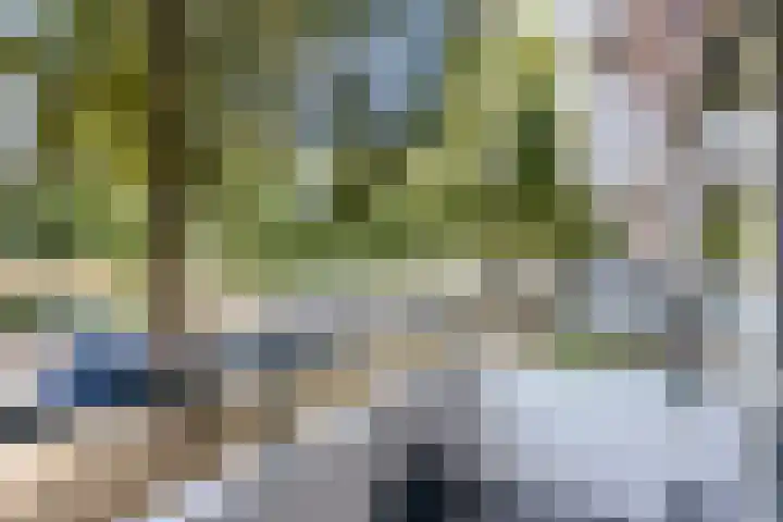 Stanleystraat 3 's-Hertogenbosch thumbnail 8
