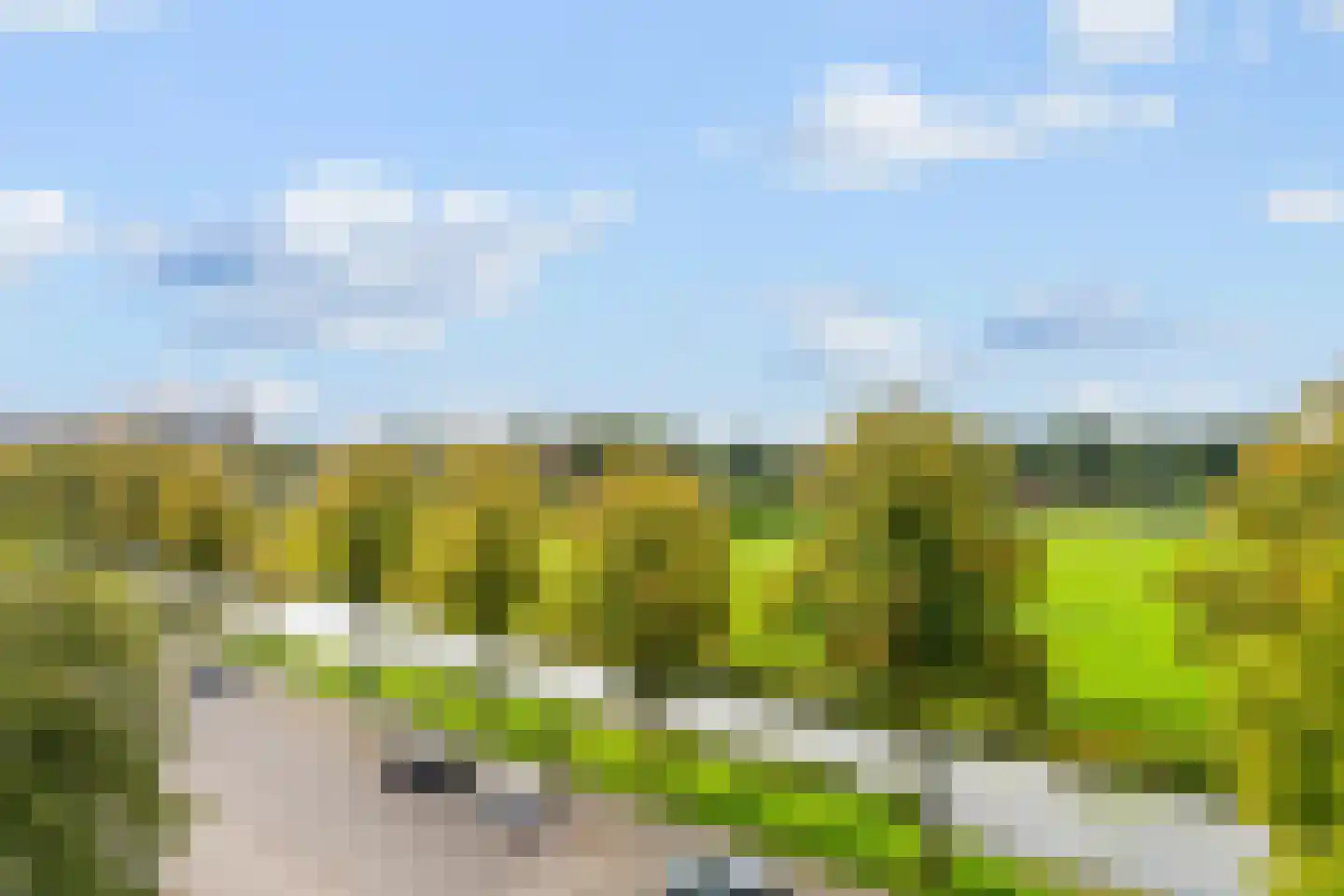 Stanleystraat 43 's-Hertogenbosch thumbnail 13