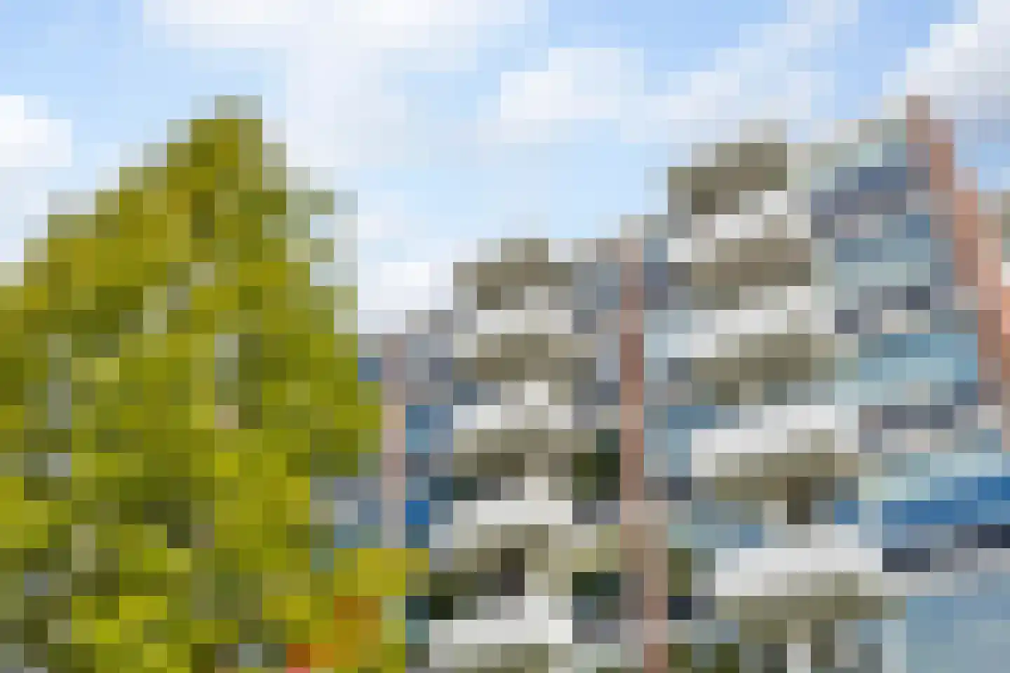 Stanleystraat 43 's-Hertogenbosch thumbnail 30