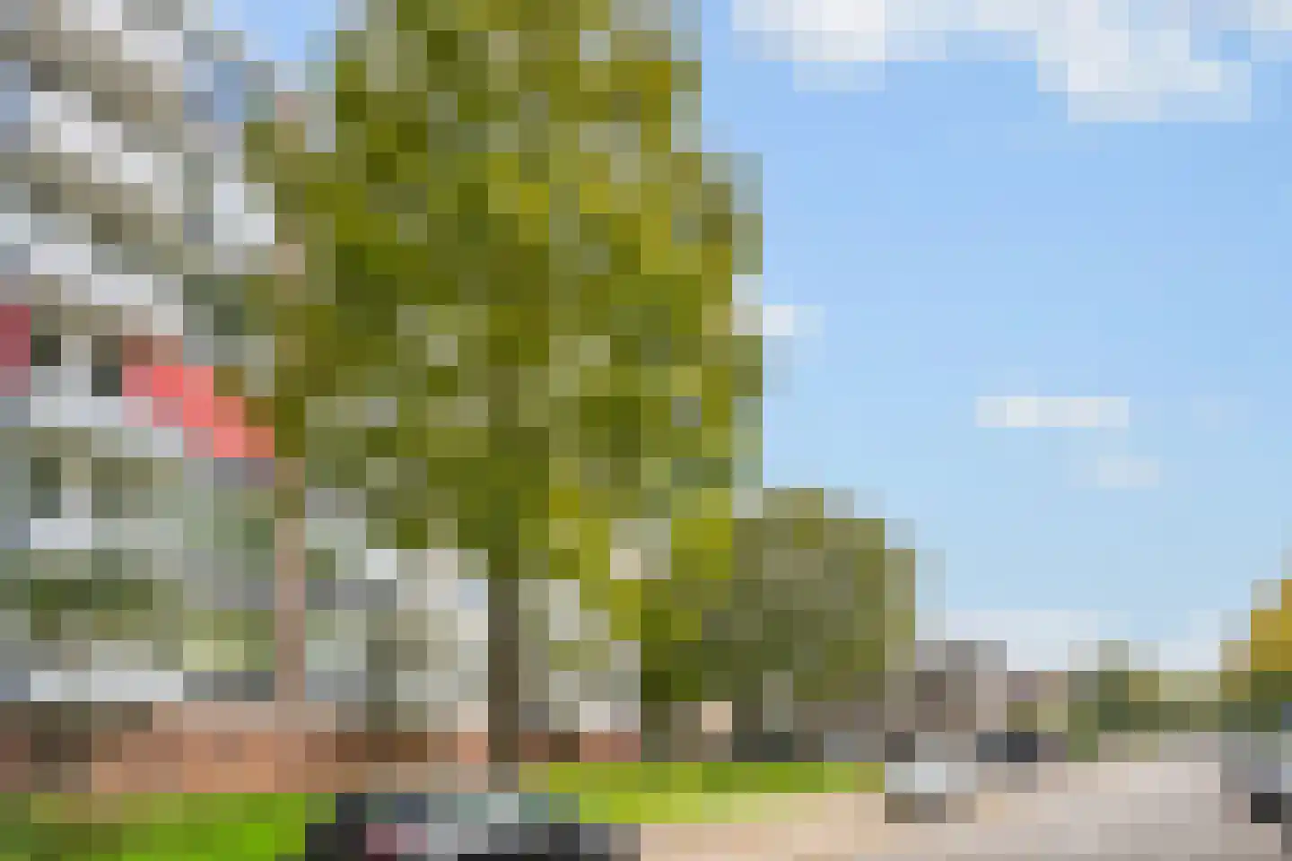 Stanleystraat 43 's-Hertogenbosch thumbnail 33