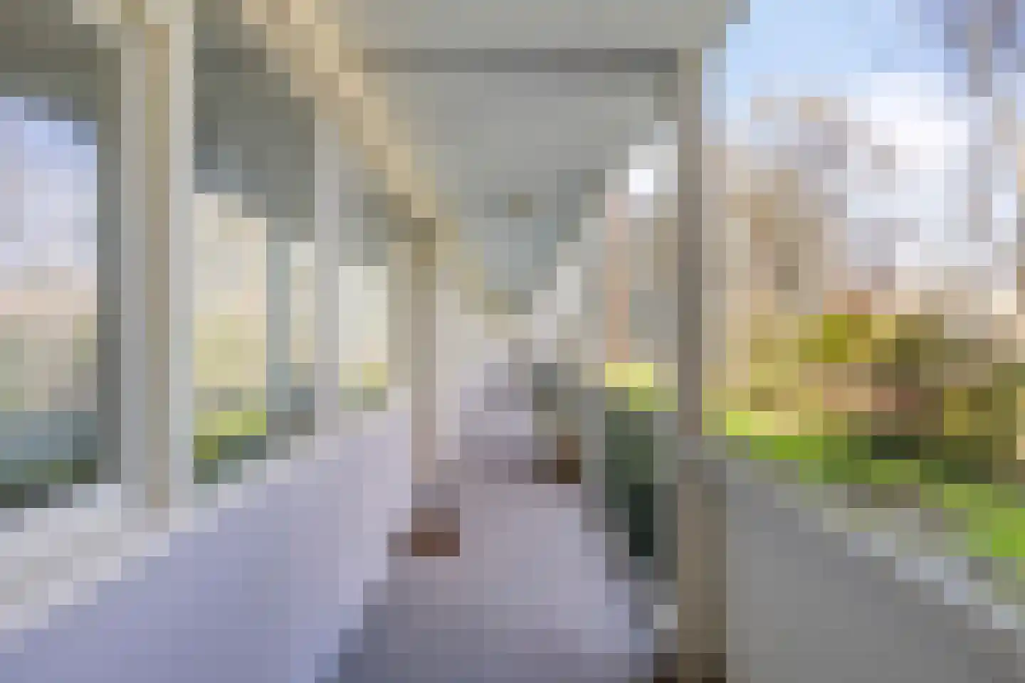 Stanleystraat 7 's-Hertogenbosch thumbnail 8