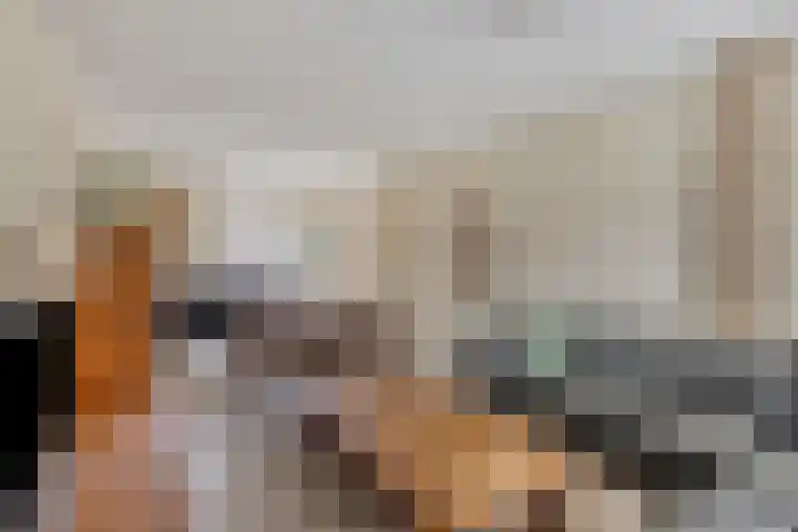 Stapakker 11 Oirschot thumbnail 11