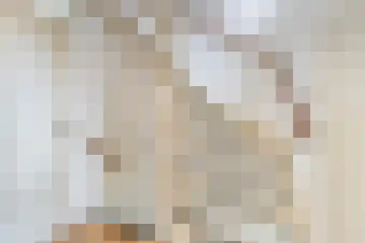 Stapakker 11 Oirschot thumbnail 17