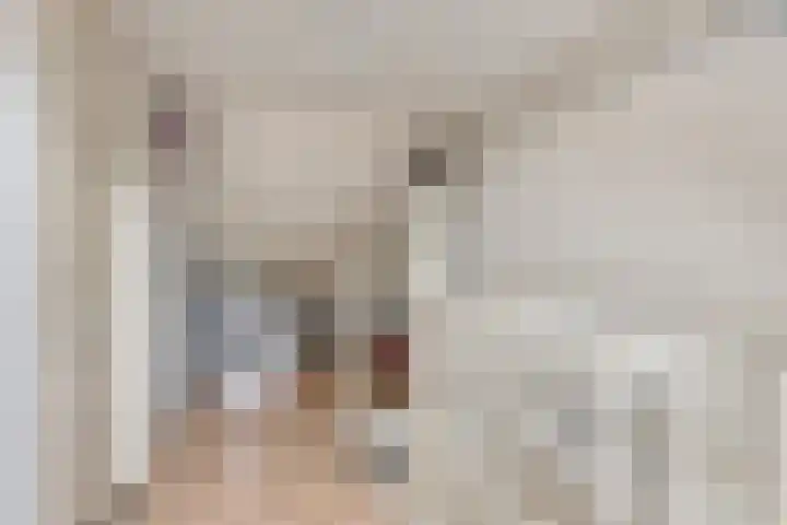 Stapakker 11 Oirschot thumbnail 25