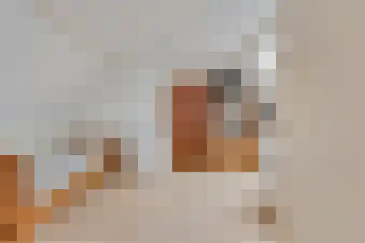 Stapakker 11 Oirschot thumbnail 27