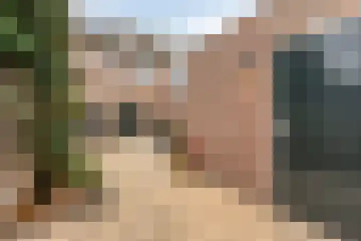 Stapakker 11 Oirschot thumbnail 32