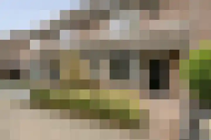 Stapakker 11 Oirschot thumbnail 33
