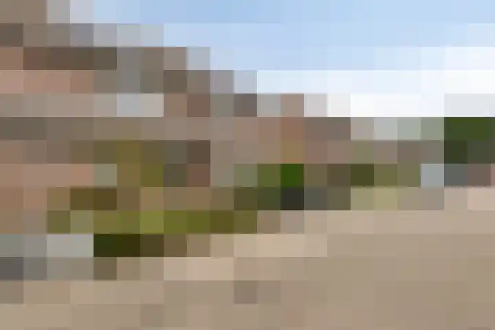 Stapakker 11 Oirschot thumbnail 34