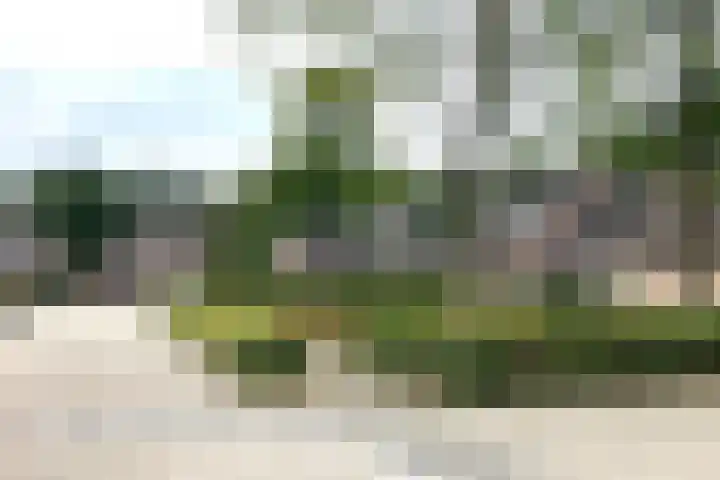 Stapakker 11 Oirschot thumbnail 35