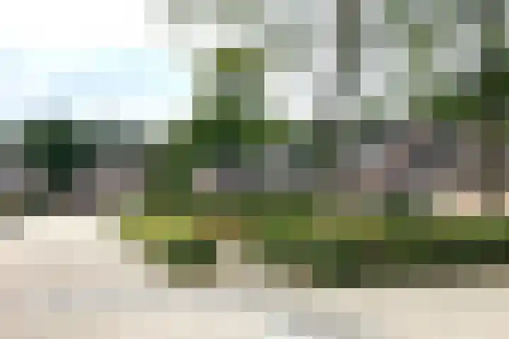 Stapakker 11 Oirschot thumbnail 5