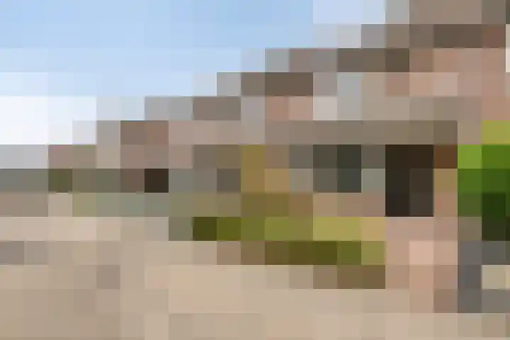 Stapakker 11 Oirschot thumbnail 6