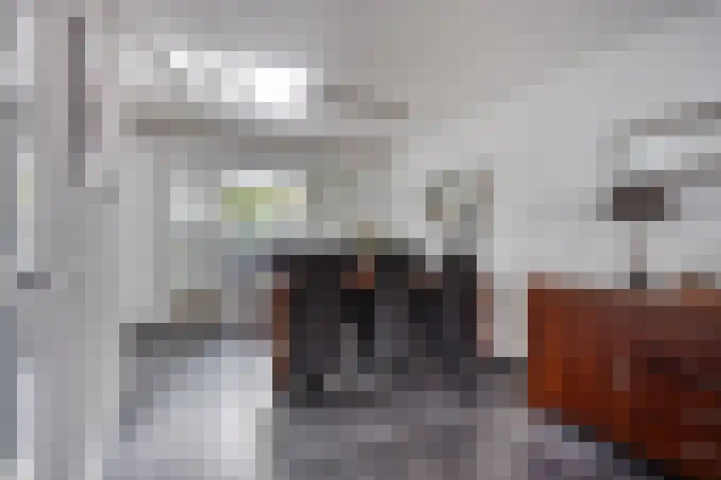 Stapakker 2 Oirschot thumbnail 13