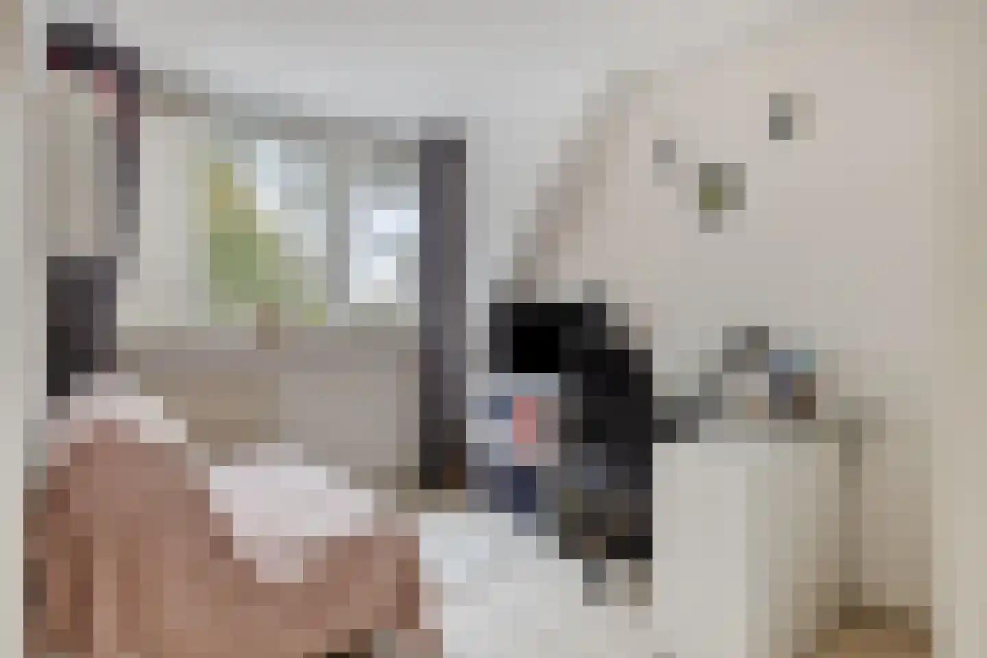 Stapakker 2 Oirschot thumbnail 19