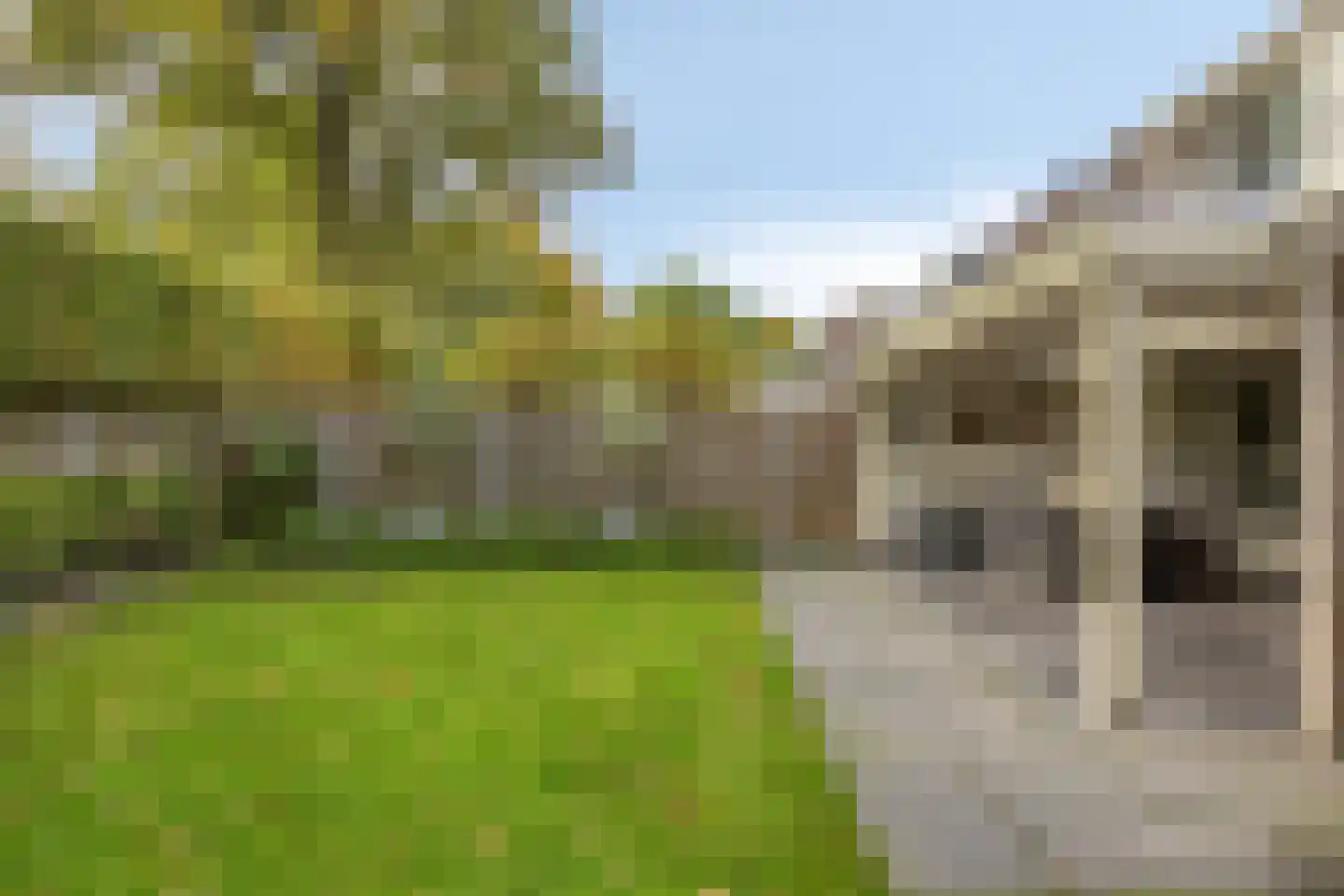 Stapakker 2 Oirschot thumbnail 26