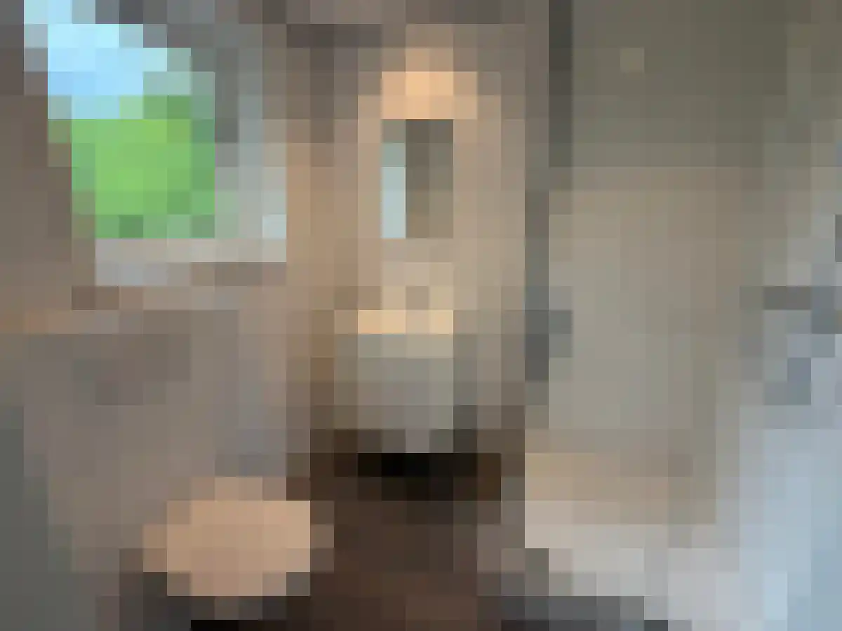 Stapelen 1 Boxtel thumbnail 5