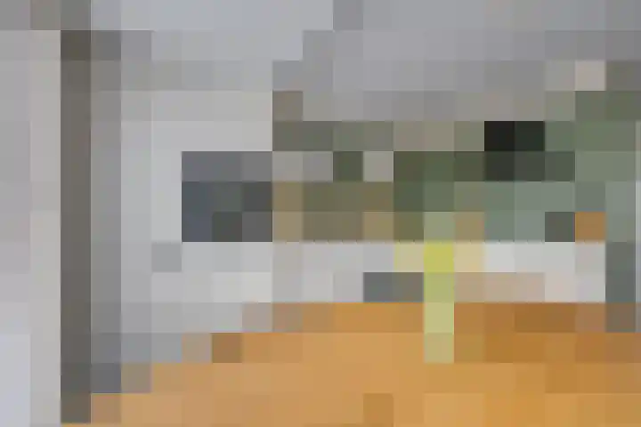Stapelen 11 Udenhout thumbnail 10