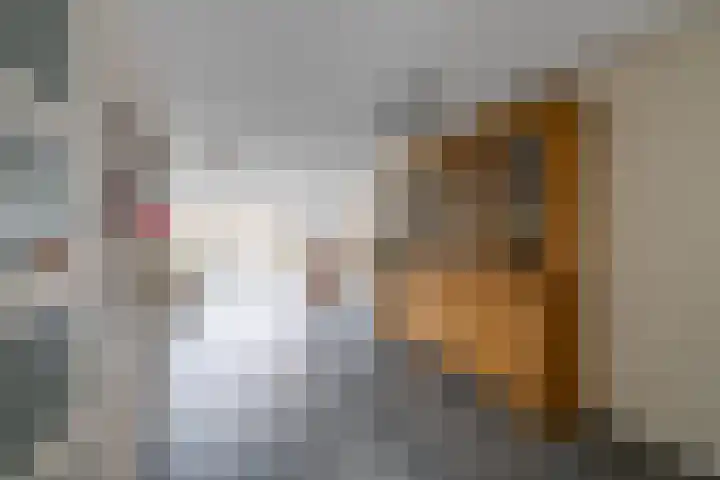 Stapelen 11 Udenhout thumbnail 13