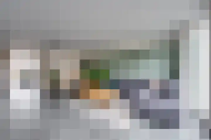 Stapelen 11 Udenhout thumbnail 16