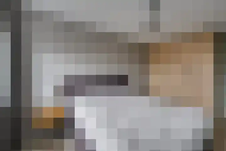 Stapelen 11 Udenhout thumbnail 25