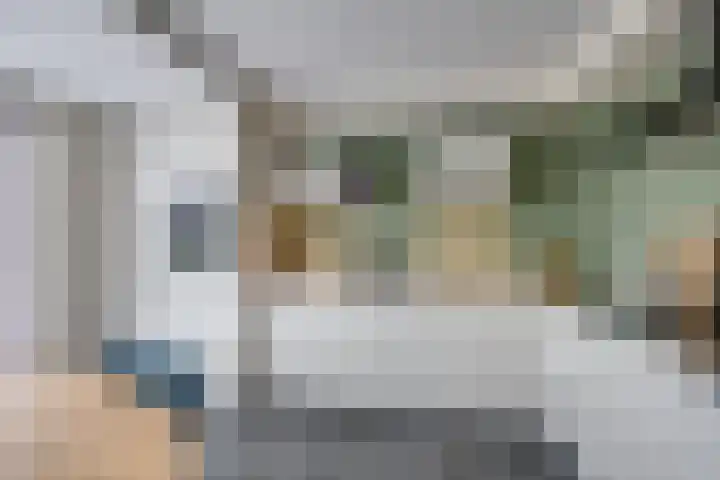 Stapelen 11 Udenhout thumbnail 8