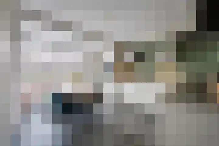 Stapelen 11 Udenhout thumbnail 9
