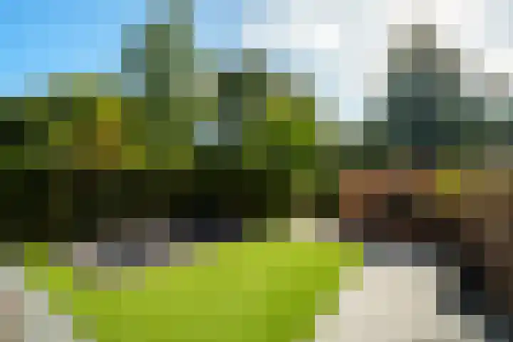 Stapelen 2 's-Hertogenbosch thumbnail 17