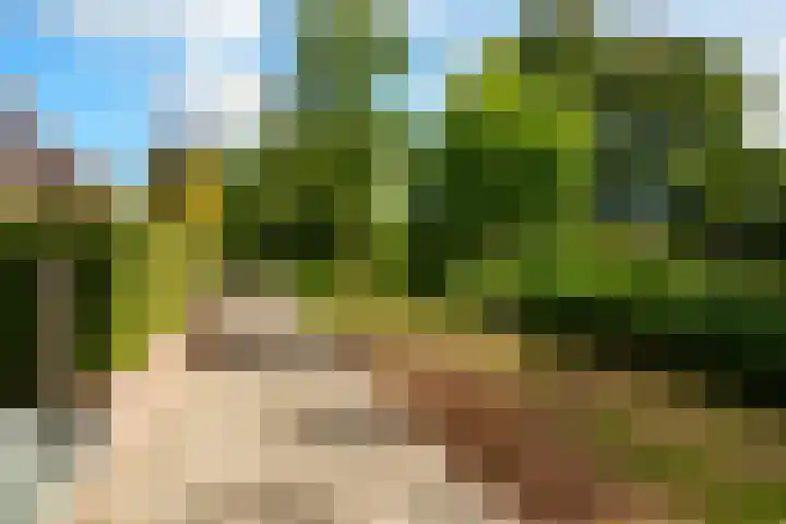 Stapelen 2 's-Hertogenbosch thumbnail 18
