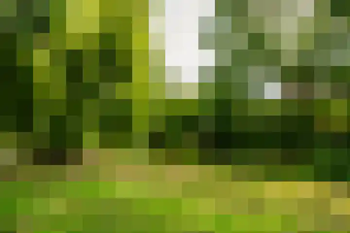 Stapelen 2 's-Hertogenbosch thumbnail 19