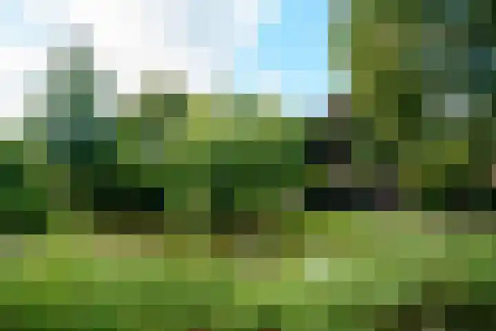 Stapelen 2 's-Hertogenbosch thumbnail 20