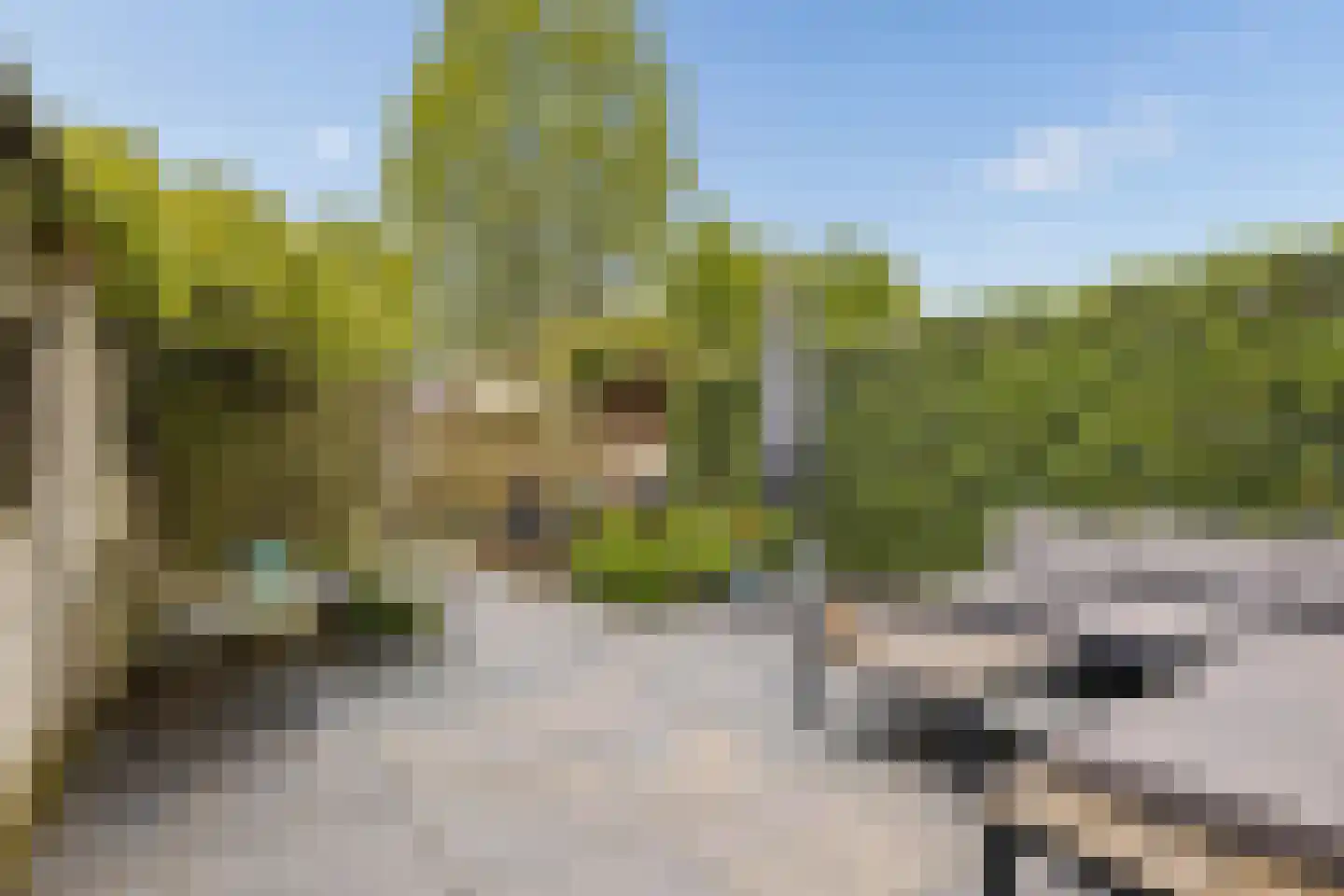 Stapelen 20 's-Hertogenbosch thumbnail 27